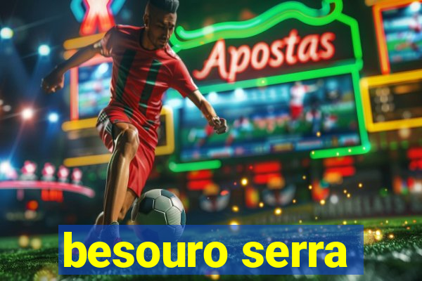 besouro serra-pau morde